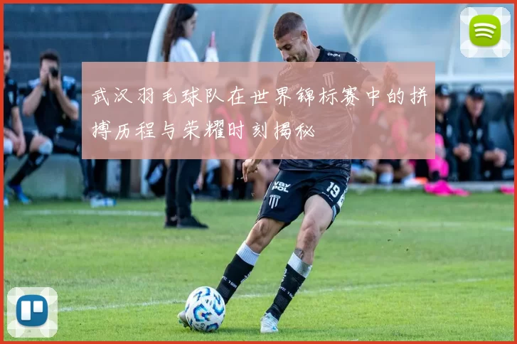武汉羽毛球队在世界锦标赛中的拼搏历程与荣耀时刻揭秘