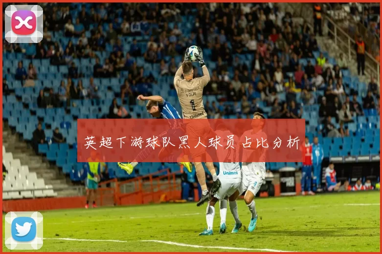英超下游球队黑人球员占比分析