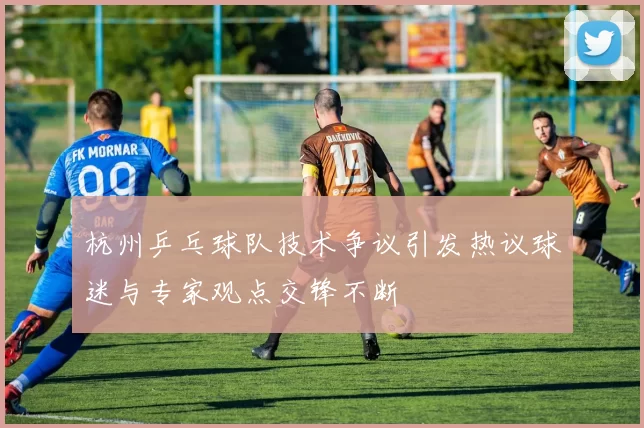 杭州乒乓球队技术争议引发热议球迷与专家观点交锋不断