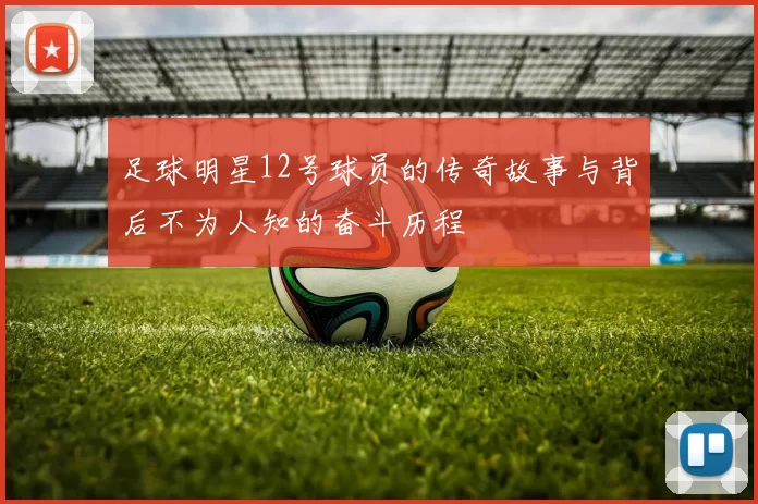 足球明星12号球员的传奇故事与背后不为人知的奋斗历程
