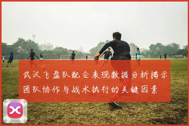 武汉飞盘队配合表现数据分析揭示团队协作与战术执行的关键因素