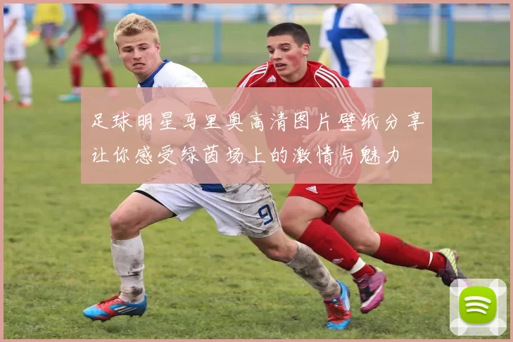 足球明星马里奥高清图片壁纸分享让你感受绿茵场上的激情与魅力