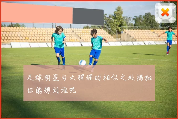 足球明星与大猩猩的相似之处揭秘你能想到谁呢