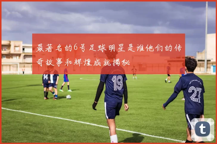 最著名的6号足球明星是谁他们的传奇故事和辉煌成就揭秘