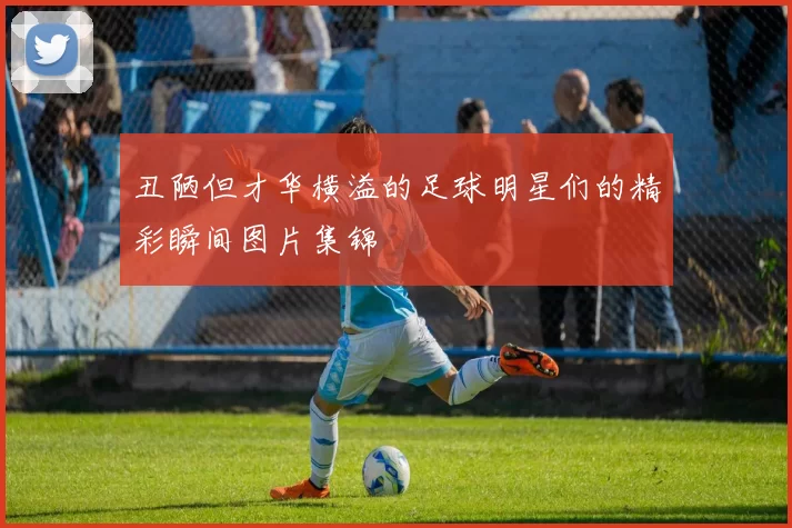 丑陋但才华横溢的足球明星们的精彩瞬间图片集锦