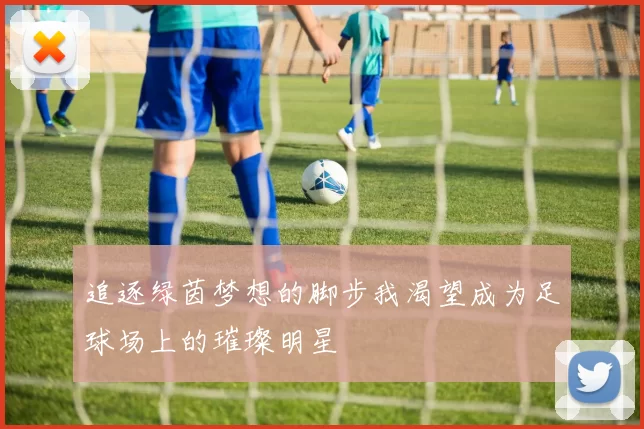 追逐绿茵梦想的脚步我渴望成为足球场上的璀璨明星