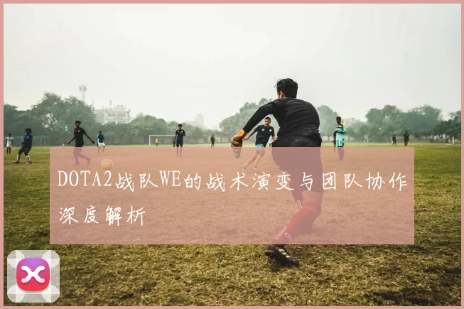 DOTA2战队WE的战术演变与团队协作深度解析