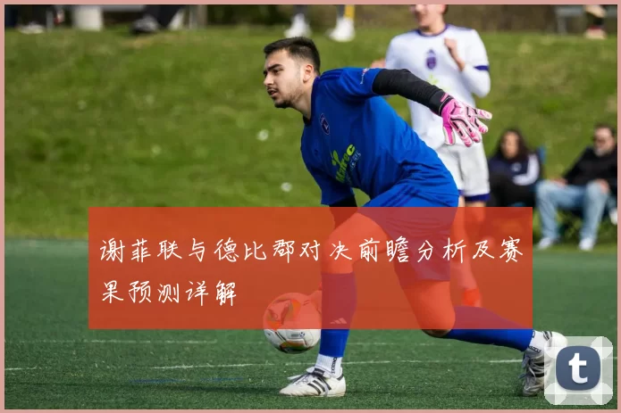 谢菲联与德比郡对决前瞻分析及赛果预测详解