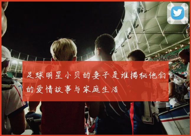 足球明星小贝的妻子是谁揭秘他们的爱情故事与家庭生活