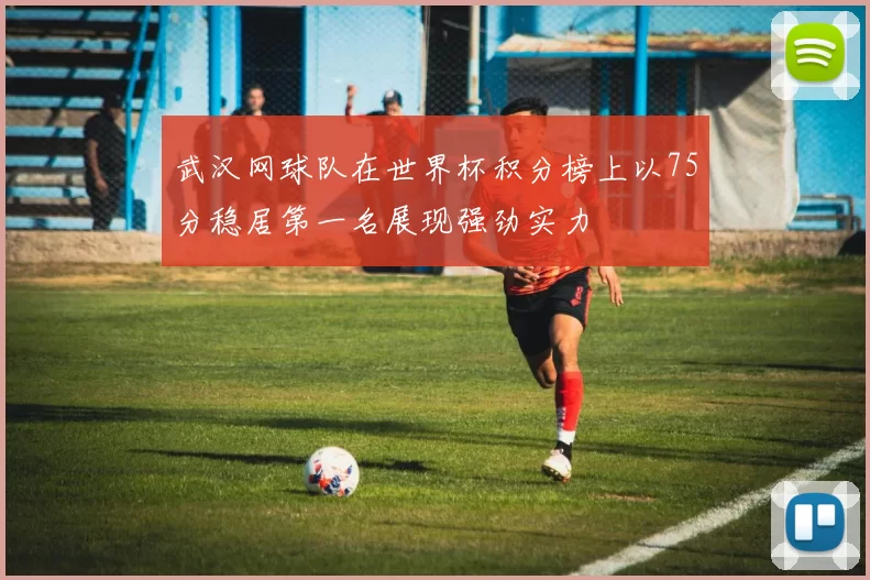 武汉网球队在世界杯积分榜上以75分稳居第一名展现强劲实力