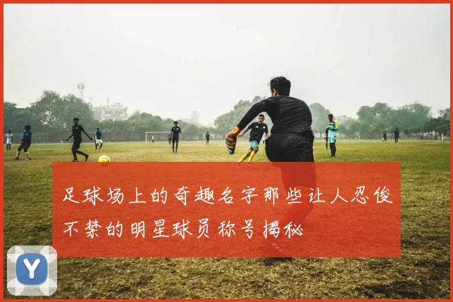 足球场上的奇趣名字那些让人忍俊不禁的明星球员称号揭秘