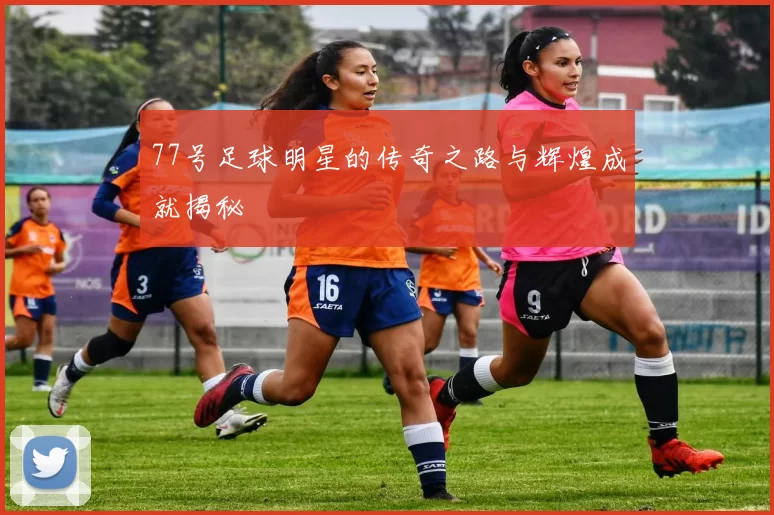 77号足球明星的传奇之路与辉煌成就揭秘