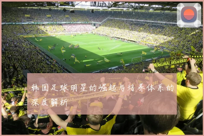 韩国足球明星的崛起与培养体系的深度解析