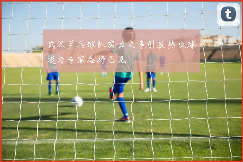 武汉乒乓球队实力之争引发热议球迷与专家各抒己见