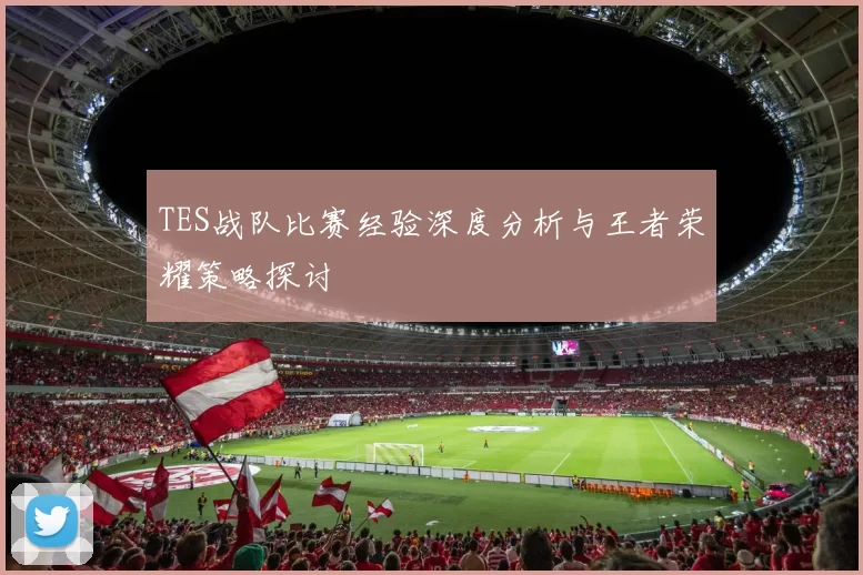 TES战队比赛经验深度分析与王者荣耀策略探讨