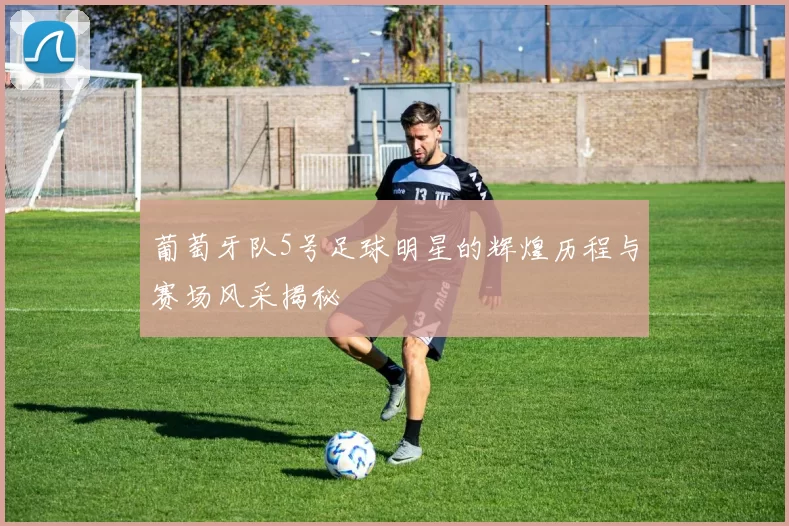 葡萄牙队5号足球明星的辉煌历程与赛场风采揭秘