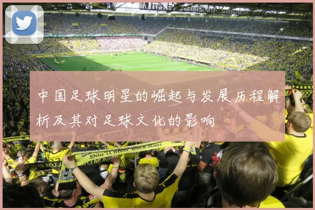 中国足球明星的崛起与发展历程解析及其对足球文化的影响