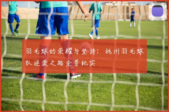 羽毛球的荣耀与坚持：杭州羽毛球队逆袭之路全景纪实
