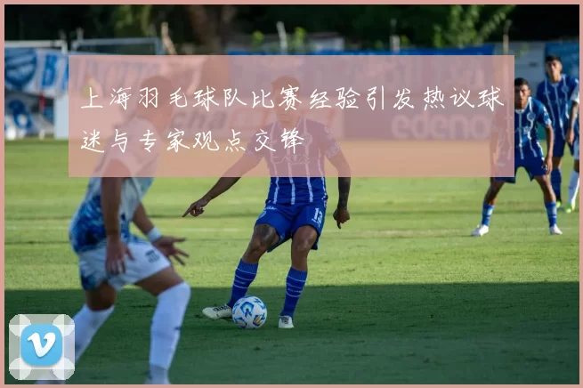 上海羽毛球队比赛经验引发热议球迷与专家观点交锋