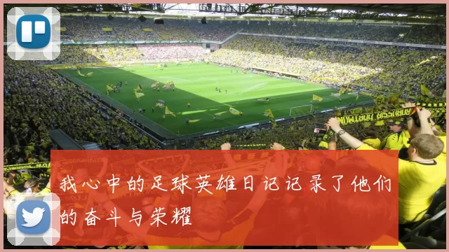 我心中的足球英雄日记记录了他们的奋斗与荣耀