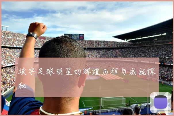 埃字足球明星的辉煌历程与成就探秘