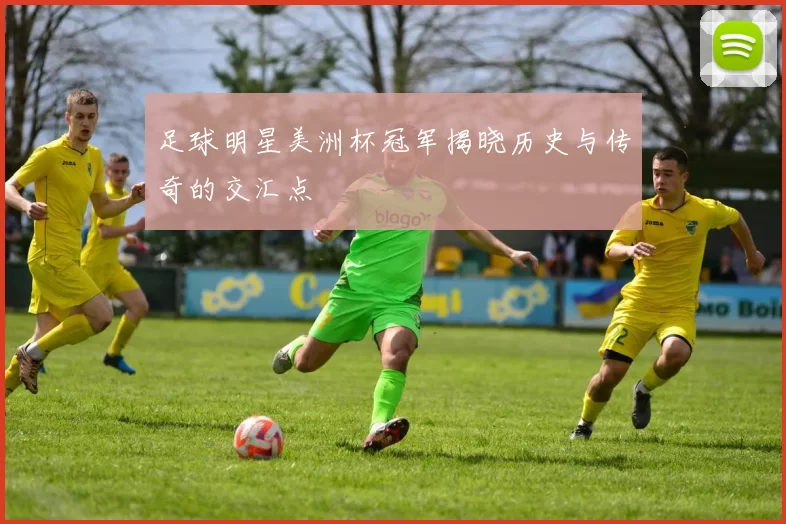 足球明星美洲杯冠军揭晓历史与传奇的交汇点