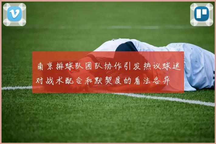 南京排球队团队协作引发热议球迷对战术配合和默契度的看法各异