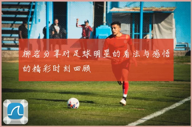 柳岩分享对足球明星的看法与感悟的精彩时刻回顾