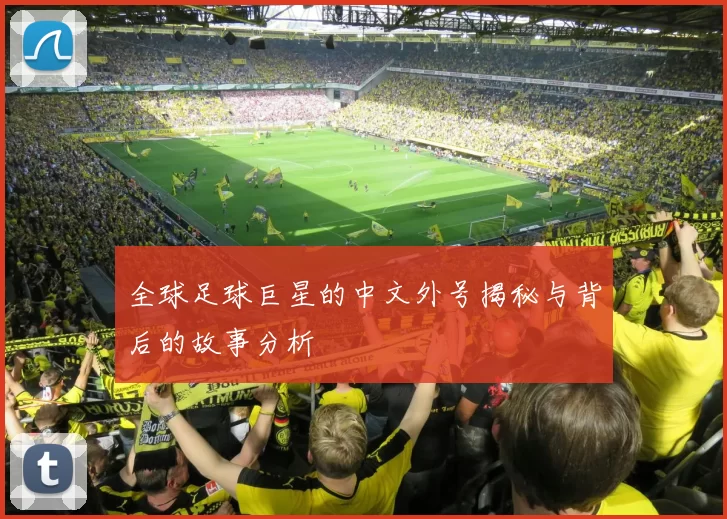 全球足球巨星的中文外号揭秘与背后的故事分析