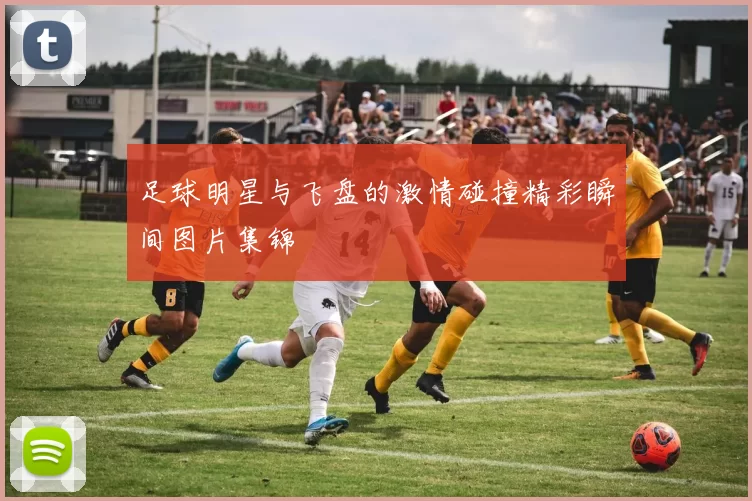 足球明星与飞盘的激情碰撞精彩瞬间图片集锦