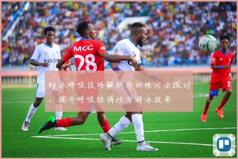 蛙泳呼吸技巧解析与训练方法探讨，提升呼吸协调性与游泳效率